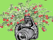 Konkurs fotograficzny "Sady Gminy Chynów w obiektywie"