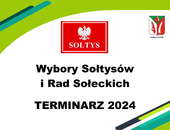 Ruszają wybory sołtysów i rad sołeckich