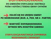 Dofinansowanie w wysokości 50% kosztów zabiegu kastracji lub sterylizacji