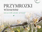 PRZYMROZKI WIOSENNE - WNIOSKI O OSZACOWANIE SZKÓD